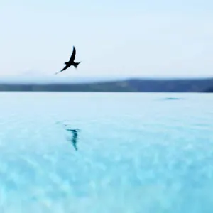 **** Hotel Stefanija Small Boutique Hotel&restaurant Croatie